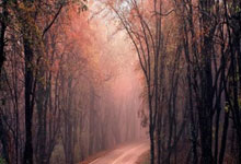 索斯蓋特為什麼叫南門?南門什麼梗?.