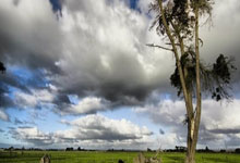 28圈注册:聚焦供暖季丨用能高峰,如何全链条保障供需平衡.