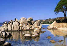 28圈注册:英超第12輪曼聯2-0熱刺 弗雷德費爾南德斯入球 C羅提前離場再成話題.